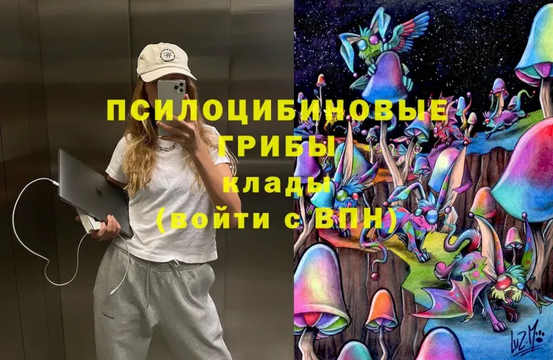 купить   это официальный сайт  Галлюциногенные грибы Magic Shrooms  Городец 